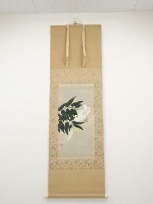 麻田辨自筆　百合花　太巻　肉筆紙本掛軸（共箱・二重箱）□z